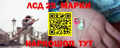 ГАЛЛЮЦИНОГЕННЫЕ ГРИБЫ Новозыбков