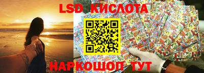 ГАЛЛЮЦИНОГЕННЫЕ ГРИБЫ Новозыбков