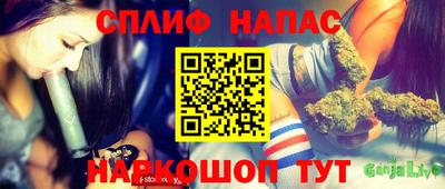 ГАЛЛЮЦИНОГЕННЫЕ ГРИБЫ Новозыбков